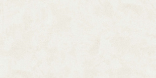 Керамогранит Buono Ceramica Emma Fiore Base Matt арт. EVL4802M (60x120) матовый